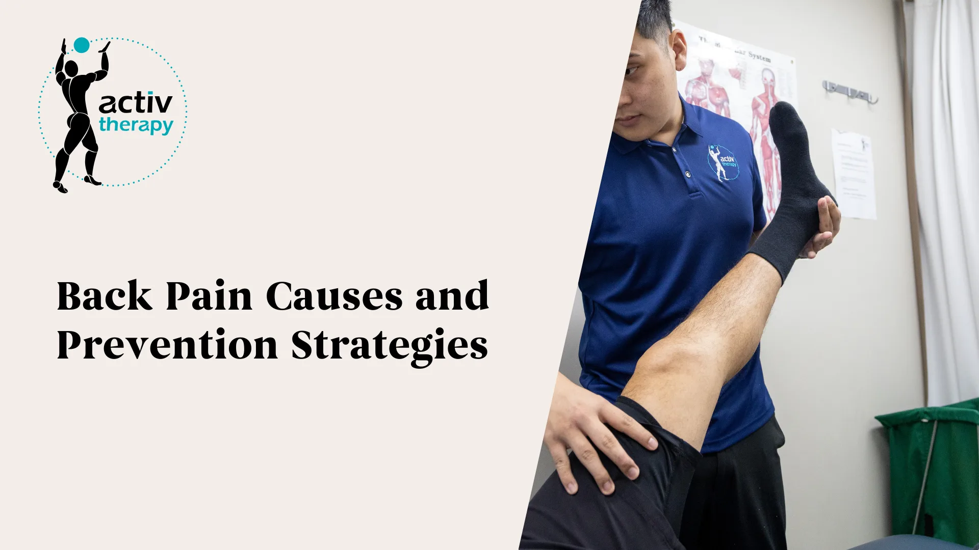 Back Pain Causes and Prevention Strategies